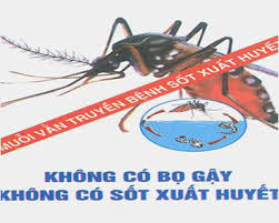 Dịch vụ phun muỗi an toàn tại Quận Long Biên